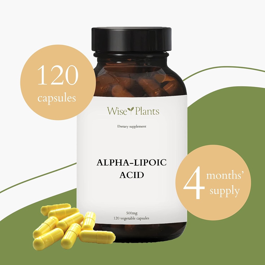 alpha-lipoic-acid---non-gmo---500mg-120--2.jpg