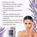 lavender-salve-all-natural-moisturizing--5.jpg