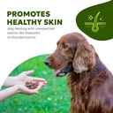 allergy-itch-relief-for-dogs-skin-coat-s-4.jpg