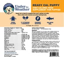 under-the-weather-pet-ready-cal-for-pupp-3.jpg