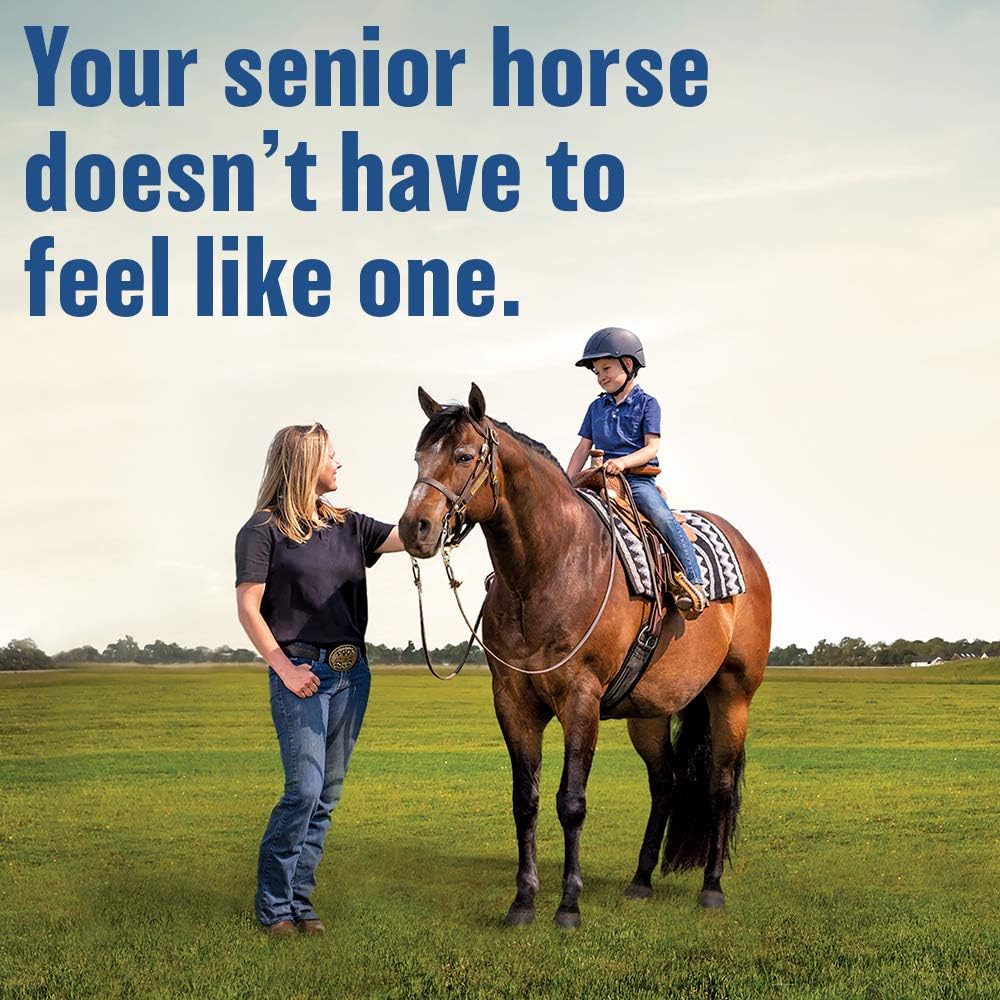 absorbine-bute-less-long-term-horse-comf-6.jpg