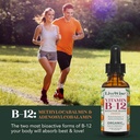 liquid-b12-vitamin-sublingual-all-natura-3.jpg