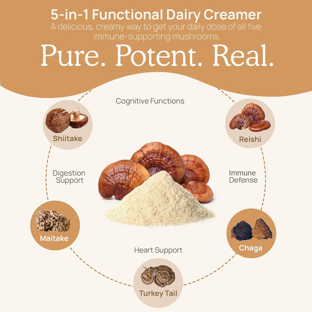 real-mushrooms-functional-dairy-creamer--5.jpg