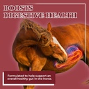 equerrys-better-horse-belly---supplement-2.jpg