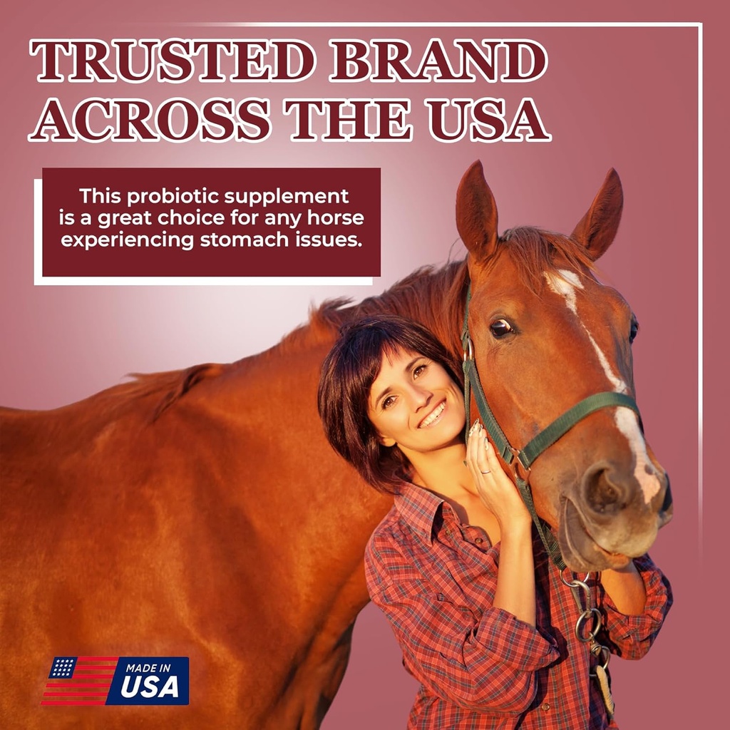 equerrys-better-horse-belly---supplement-5.jpg