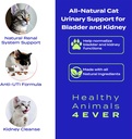 ha4e---cat-uti-remedy---natural-kidney-s-2.jpg