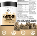 mushroom-superstars---mushroom-supplemen-3.jpg