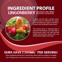 lingonberry-powder-7500mg-for-urinary-tr-4.jpg