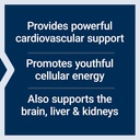 life-extension-super-ubiquinol-coq10-wit-4.jpg