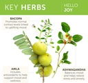 himalaya-hello-joy-herbal-supplement-wit-4.jpg