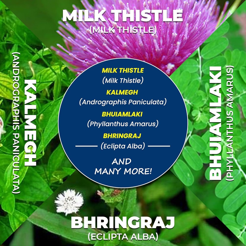 liver-support-herbal-ayurvedic-supplemen-3.jpg
