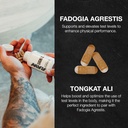 raw-signal-fadogia-agrestis-tongkat-ali--3.jpg