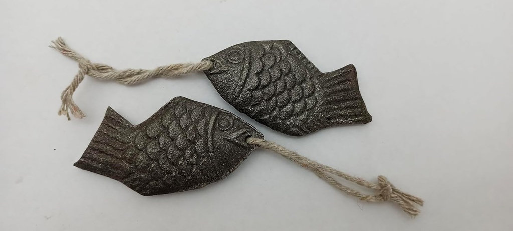iron-fish-2-pack-fish-for-deficiency-a-n-2.jpg