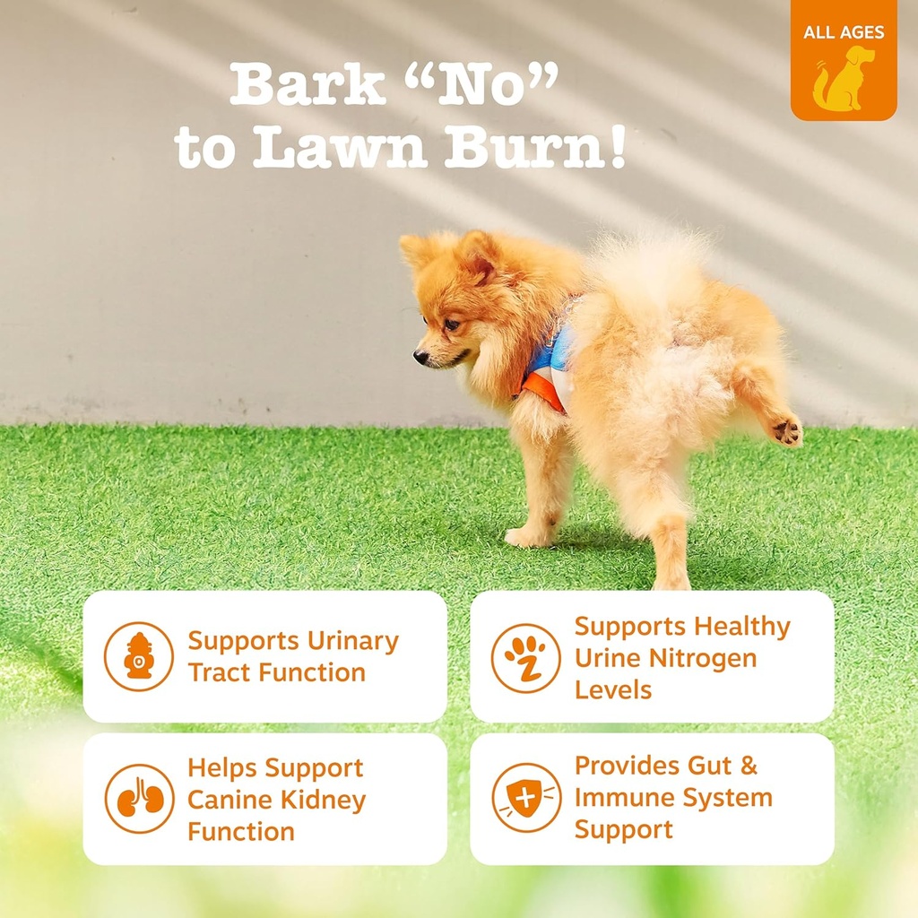 zesty-paws-stay-green-bites-for-dogs---g-2.jpg