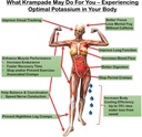 krampade-fiber-supplement-electrolytes-p-3.jpg
