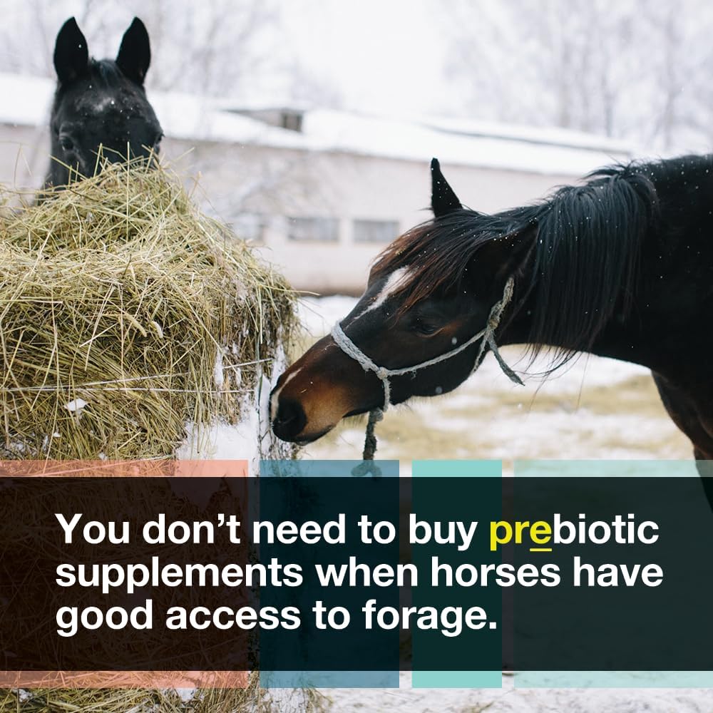 micro-encapsulated-probiotics-for-horses-4.jpg
