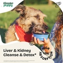 forever-puppy-detox-drops-for-dogs---dan-2.jpg