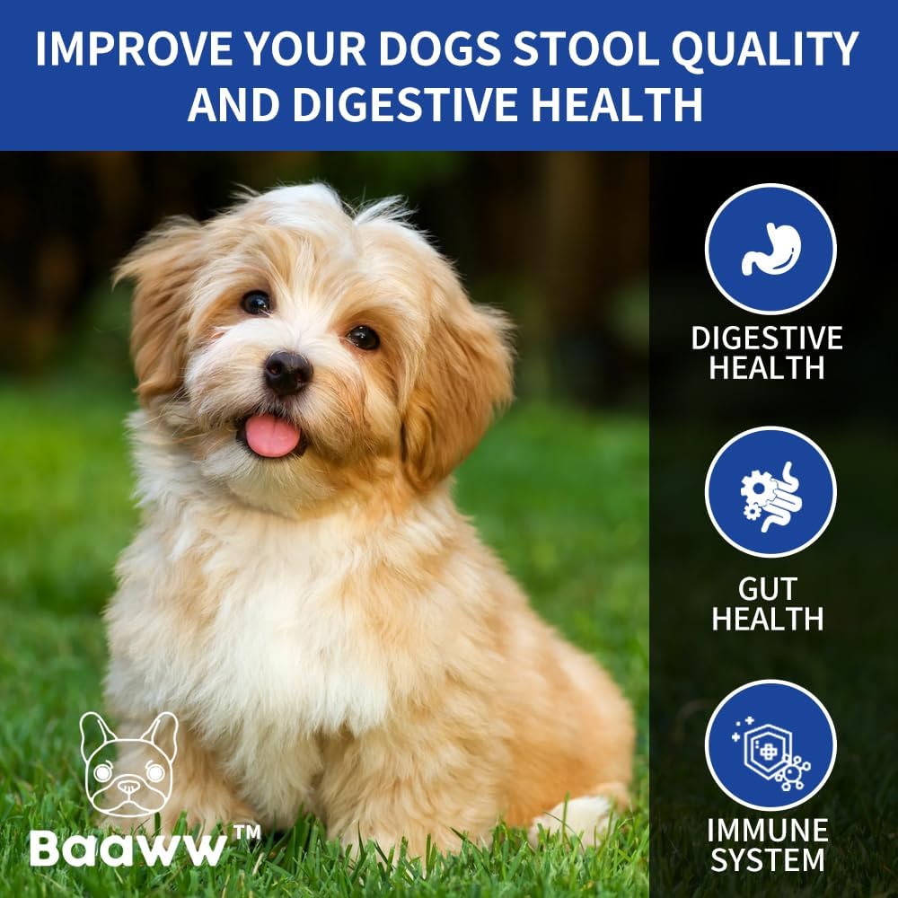 probiotics-for-dogs---improve-itchy-skin-6.jpg