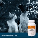 vetone-o3-omega-soft-gel-for-cats-small--3.jpg