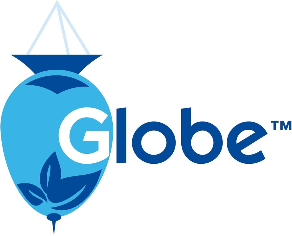globe-triple-antibiotic-first-aid-ointme-6.jpg