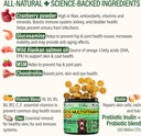 dog-multivitamin-chewable-with-glucosami-3.jpg