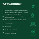 vivo-life---plant-protein-collagen-build-6.jpg