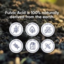 moerie-fulvic-acid-humic-acid-trace-mine-3.jpg