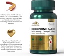 supplements-ubiquinone-coq10-coenzyme-q1-2.jpg