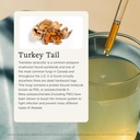 rainbo---turkey-tail-mushroom-tincture---3.jpg