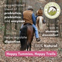 wholistic-pet-organics-digest-all-plus-h-4.jpg