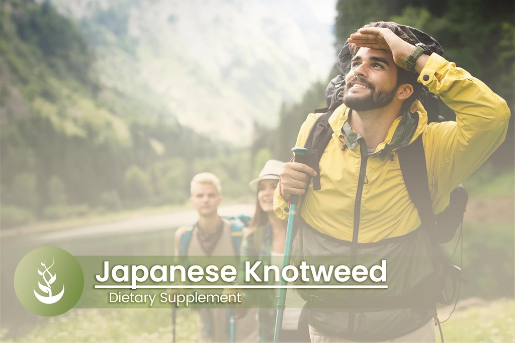 pure-original-ingredients-japanese-knotw-5.jpg