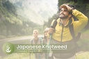 pure-original-ingredients-japanese-knotw-5.jpg