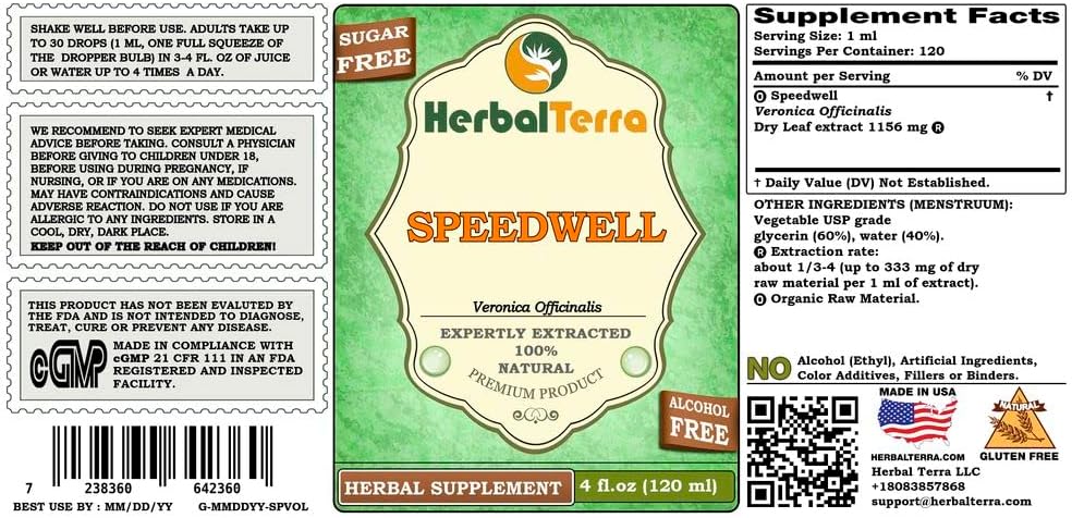 speedwell-veronica-officinalis-glycerite-2.jpg