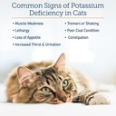 rx-vitamins-amino-bk---cat-vitamin-b-pot-4.jpg