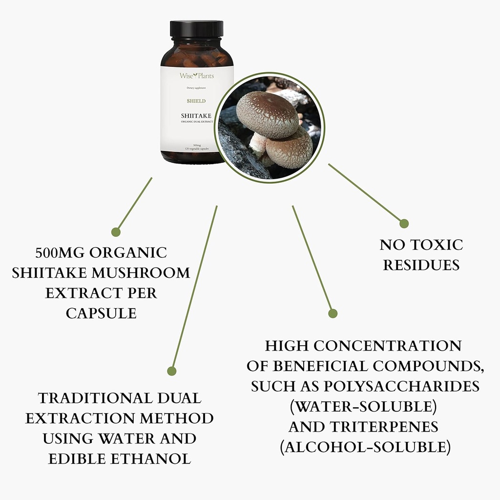 shiitake-mushroom-supplement-dual-extrac-4.jpg