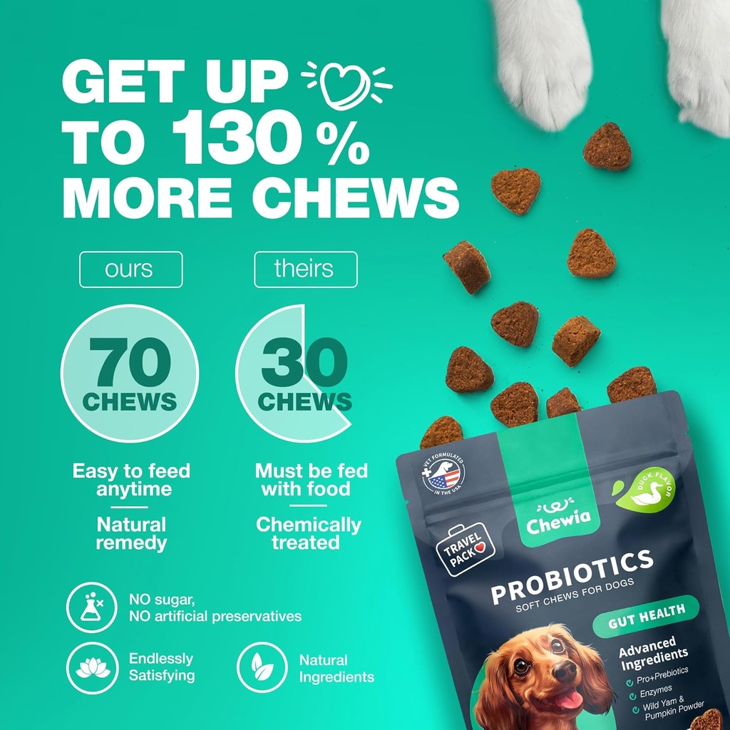 probiotics-for-dogs---support-gut-health-6.jpg