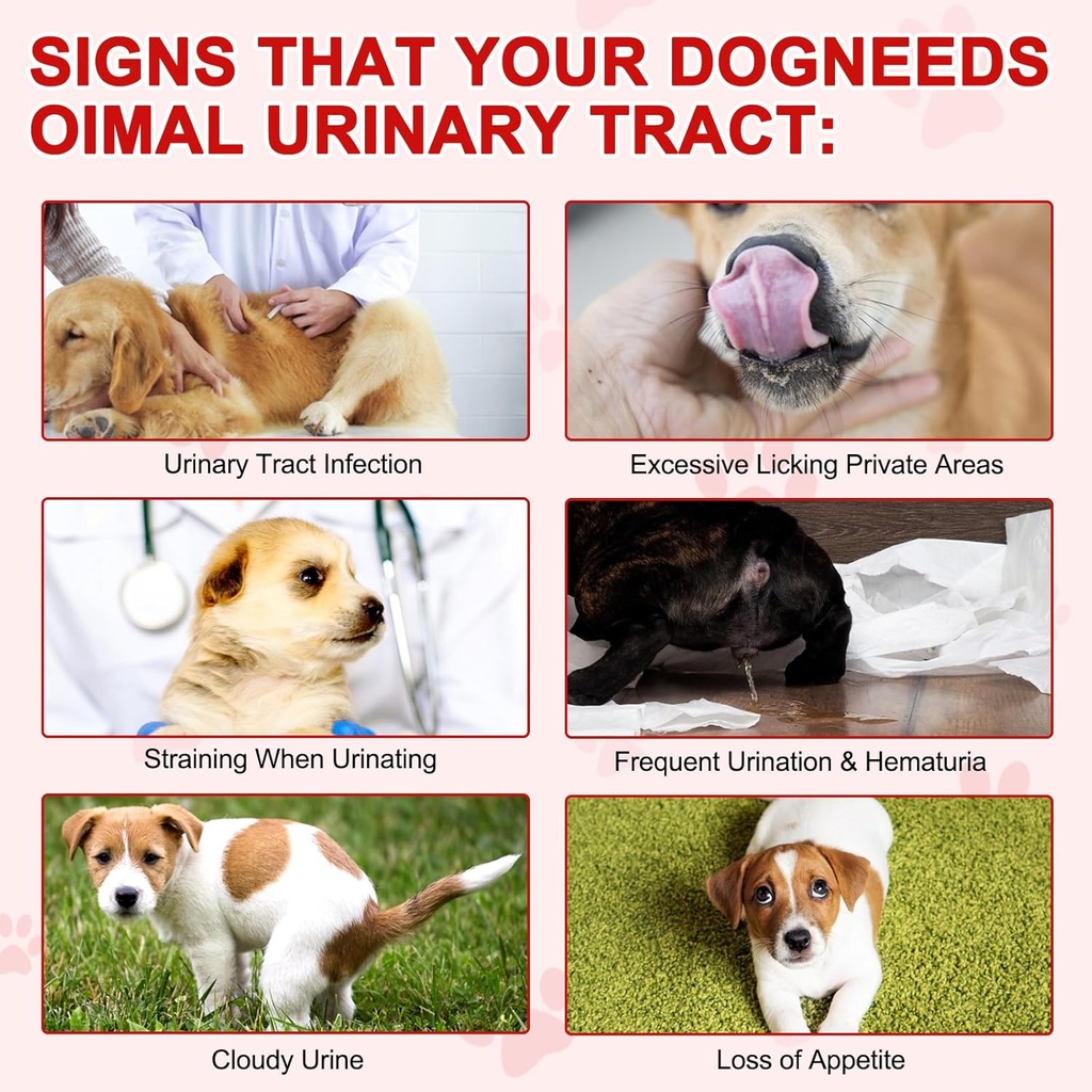 cranberry-for-dogs---180-cranberry-suppl-3.jpg