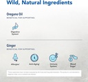 north-american-herb-and-spice-gingerol-o-3.jpg