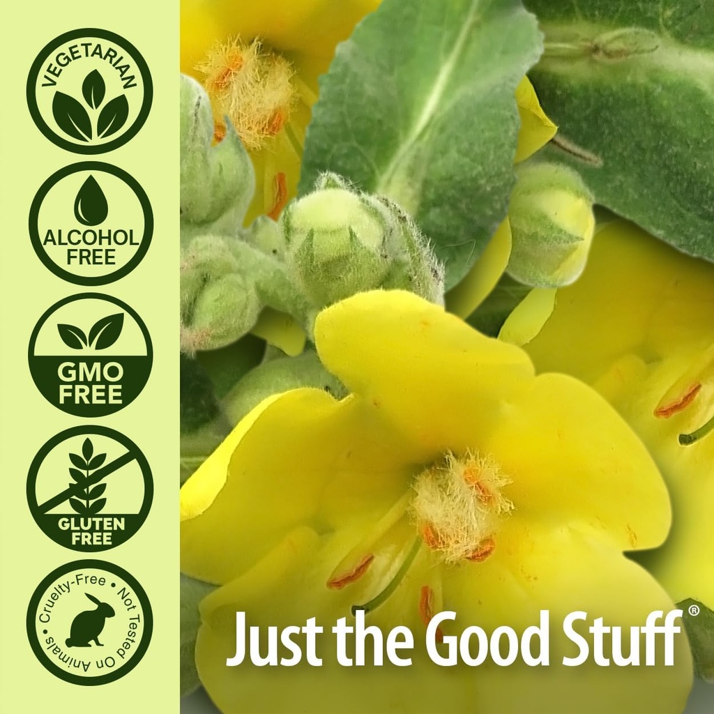natures-answer-mullein-x-multi-system-co-4.jpg