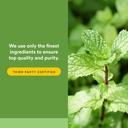 natural-factors-peppermint-oregano-oil-c-5.jpg