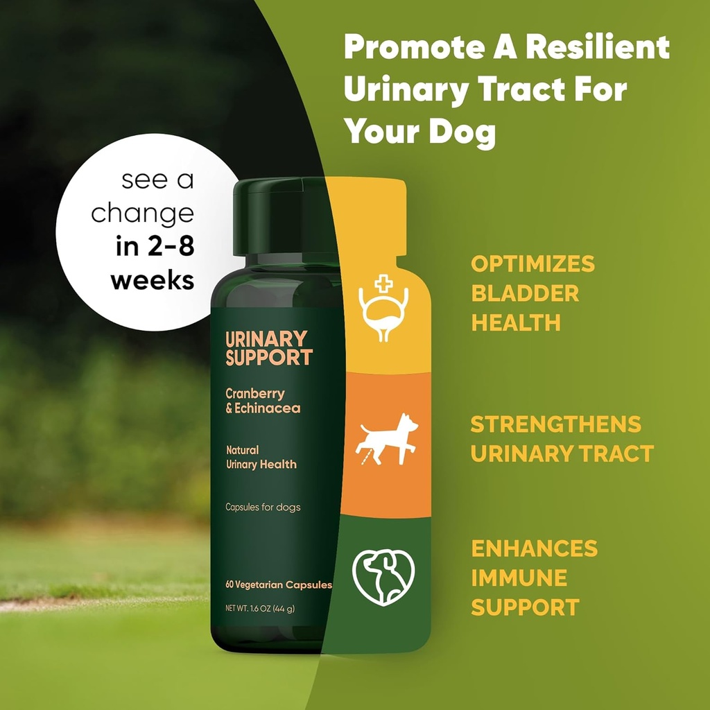 rooted-owl-urinary-support---echinacea-a-2.jpg
