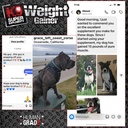 k9-weight-gainer-for-dogs-build-muscle-g-2.jpg