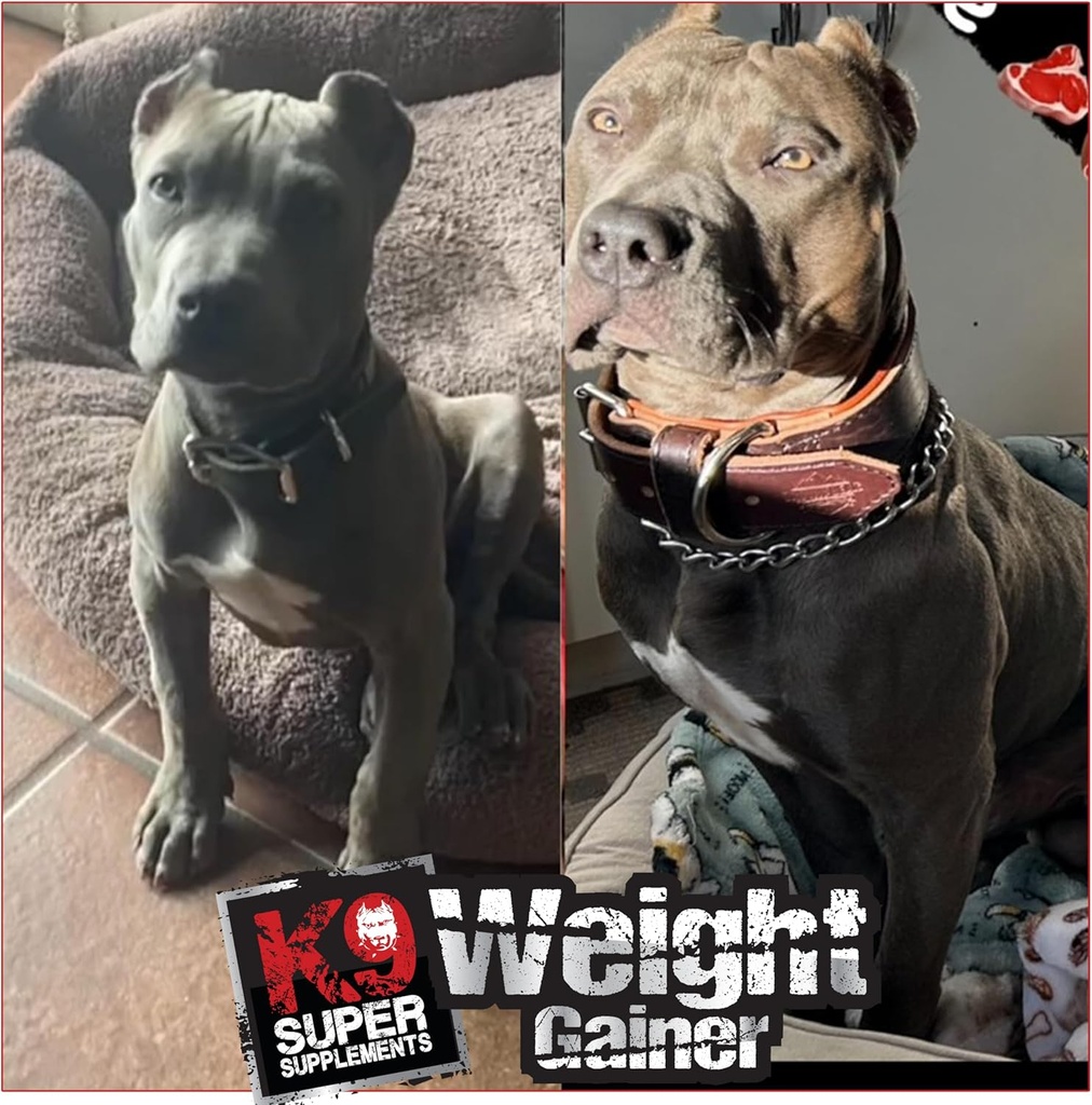 k9-weight-gainer-for-dogs-build-muscle-g-3.jpg