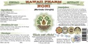 noni-alcohol-free-liquid-extract-organic-2.jpg