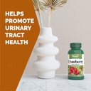 cranberry-500mg-with-121-extract-ratio-6-4.jpg