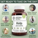 natural-nutra-kelp-iodine-thyroid-suppor-3.jpg