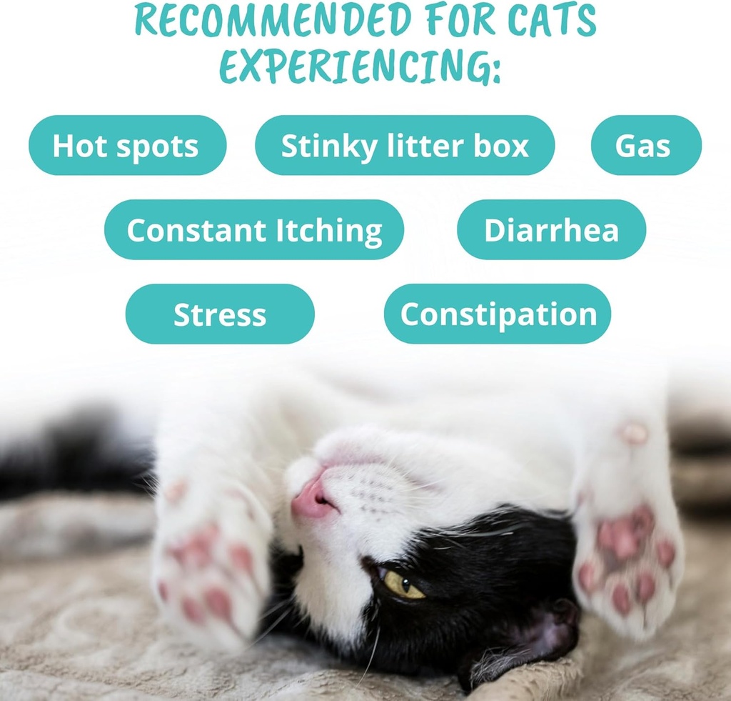 under-the-weather-pet-probiotic-chews-fo-5.jpg