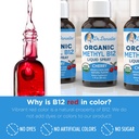 doctor-danielle-usda-organic-vitamin-b12-6.jpg