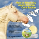 the-blissful-horses-summer-care-sun-butt-4.jpg
