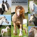 the-blissful-horses-summer-care-sun-butt-6.jpg